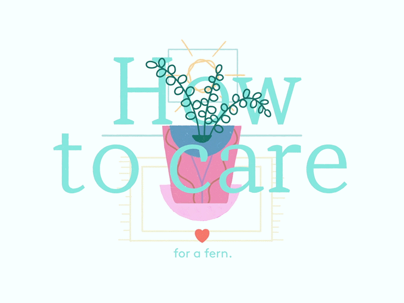 Fern love. 2d 2d animation adobe animate animation cell animation design frame by frame illustration inspiration motion motion design storytelling typography