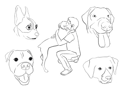 Custom Pet Sketches animal art animals boxer dog dogs illustration labrador line drawing pet procreate procreate app pug sketch sketchbook