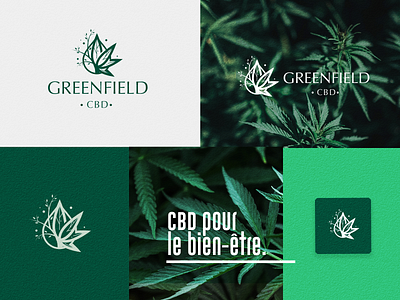 WEED GREENFIELD art branding canabis city design flowers font green identity logo medical typography weed