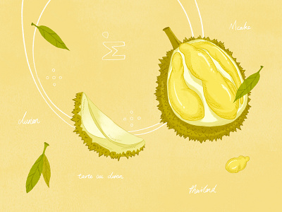 Tarte au durian illustration paintings watercolor painting