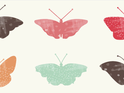 butterfly specimans digital illustration