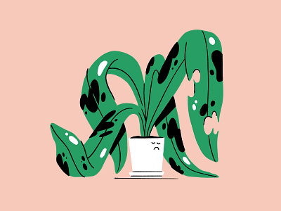 Sad Plant