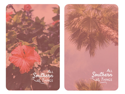 All Southern Things blog brand business card design southern
