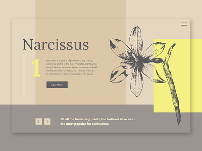 Narcissus about clean design flower geometric grid main page minimalistic narcissus plant ui vector web website yellow