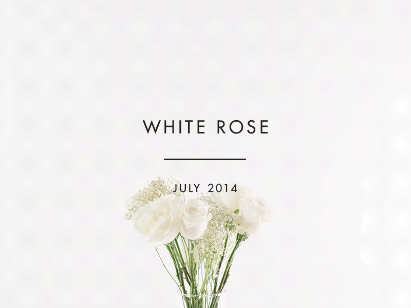 White Rose blog flowers light minimal photography white