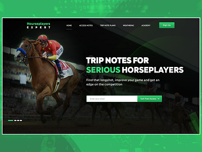 Horse Banner banner banner design branding illustration typography ui ux web