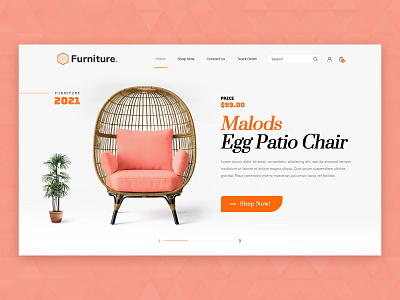 Furniture Design