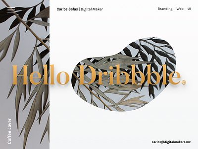 Hello Dribbble. branding debut hello intro new ui web