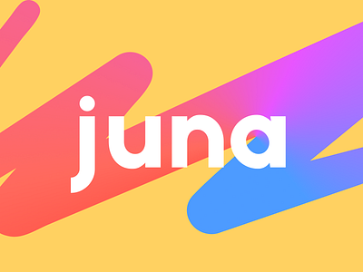 Juna branding concept design identity illustration logo russia ui web
