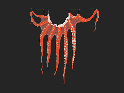 Sun-dried octopi fish illustration octopus procreate sea