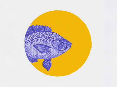 Also fish drawing fish illustration ocean photoshop purple sea watercolor yellow