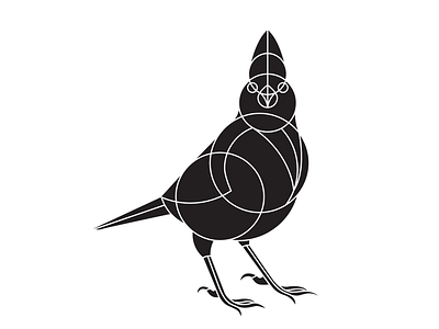 Cardinal bird black cardinal graphic design icon logo symbol