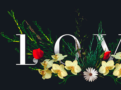 Love: Not That Obvious flowers love valentines