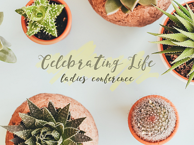 Celebrating Life green ladies conference succulent