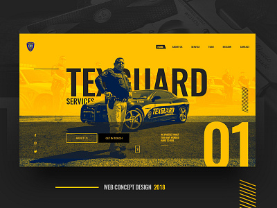 Texguard web concept design header homepage interface layout security ui user experience design ux web web site service website