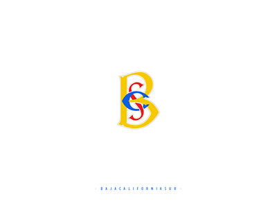 Baja California Sur design lettering monograms méxico type typography