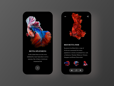 Betta Fish App - Dark Mode app app design asian betta fish app clean dark mode fish ui ux
