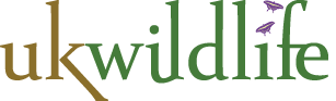 UK Wildlife identity identity logo uk wildlife