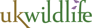 UK Wildlife identity