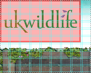 Working to the grid 2x3em blocks grid grid lines photoshop uk wildlife
