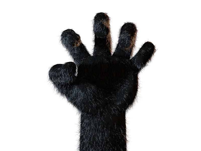 Furry Thing alex sheyn animation arm c4d cinema 4d fur hand modeling paw rigging thing