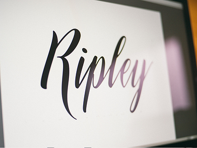 ATC Ripley alex sheyn design download font script typeface