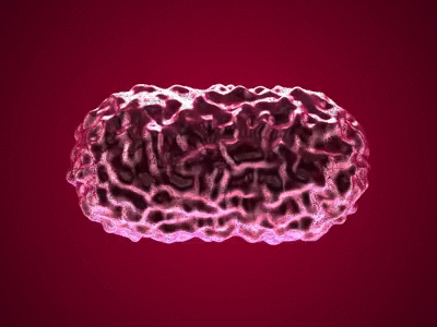 Quiver animation c4d cinema 4d gif glob quivering red