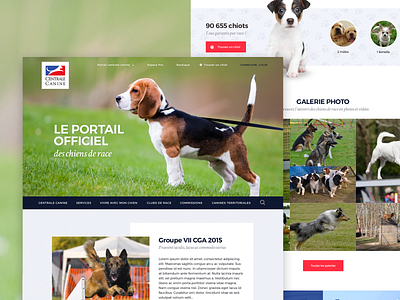 Centrale Canine - Public website corporate dogs ui ux