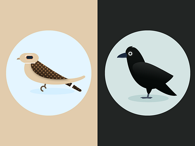 Nighthawk + Raven animals audubon bird crow nighthawk raven