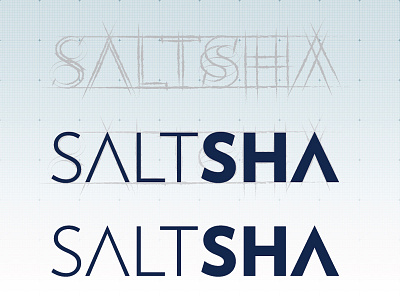 Saltsha Logo Showcase