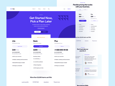 Pricing Page: Felix