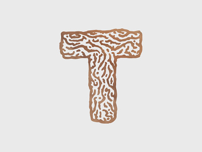 T illustration letter lettering sketch t textured type wood