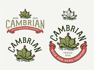 Cambrian Branding badge branding cactus circle illustration logo southwest typography