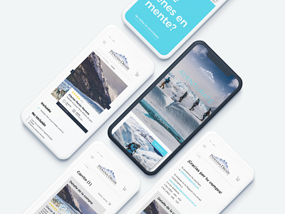 Patagonia Dreams | Website ecommerce tourism travel ui user experience userinterface ux web design website design