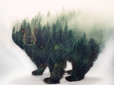 Save wildlife! bear double exposer graphic design wildlife
