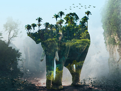 Double Exposure Effect Image doubleexposureeffect elephant photomanipulation savewildfile wildlife