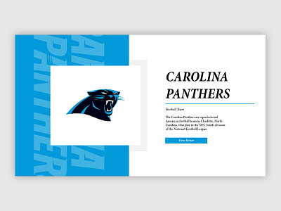 Carolina Panthers Web UI 50 carolina panthers superbowl ui web