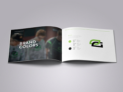 Optic Gaming - Brand Guidelines - Colors - WIP brand colors design gaming green guidelines logo optic table wall wip