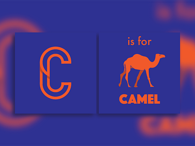 C is for Camel alphabet blue book c camel flat design orange vector