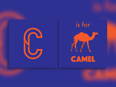 C is for Camel