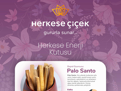 Infographic Design for Herkese Cicek Co. branding infographic netvent purple web