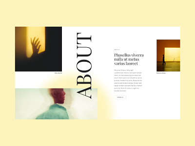 Debox – color content block agency blog color content creative design magazine modern ui web webdesign website