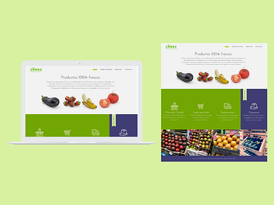 Web Comex color design flat food fruits and vegetables online identity simple design web