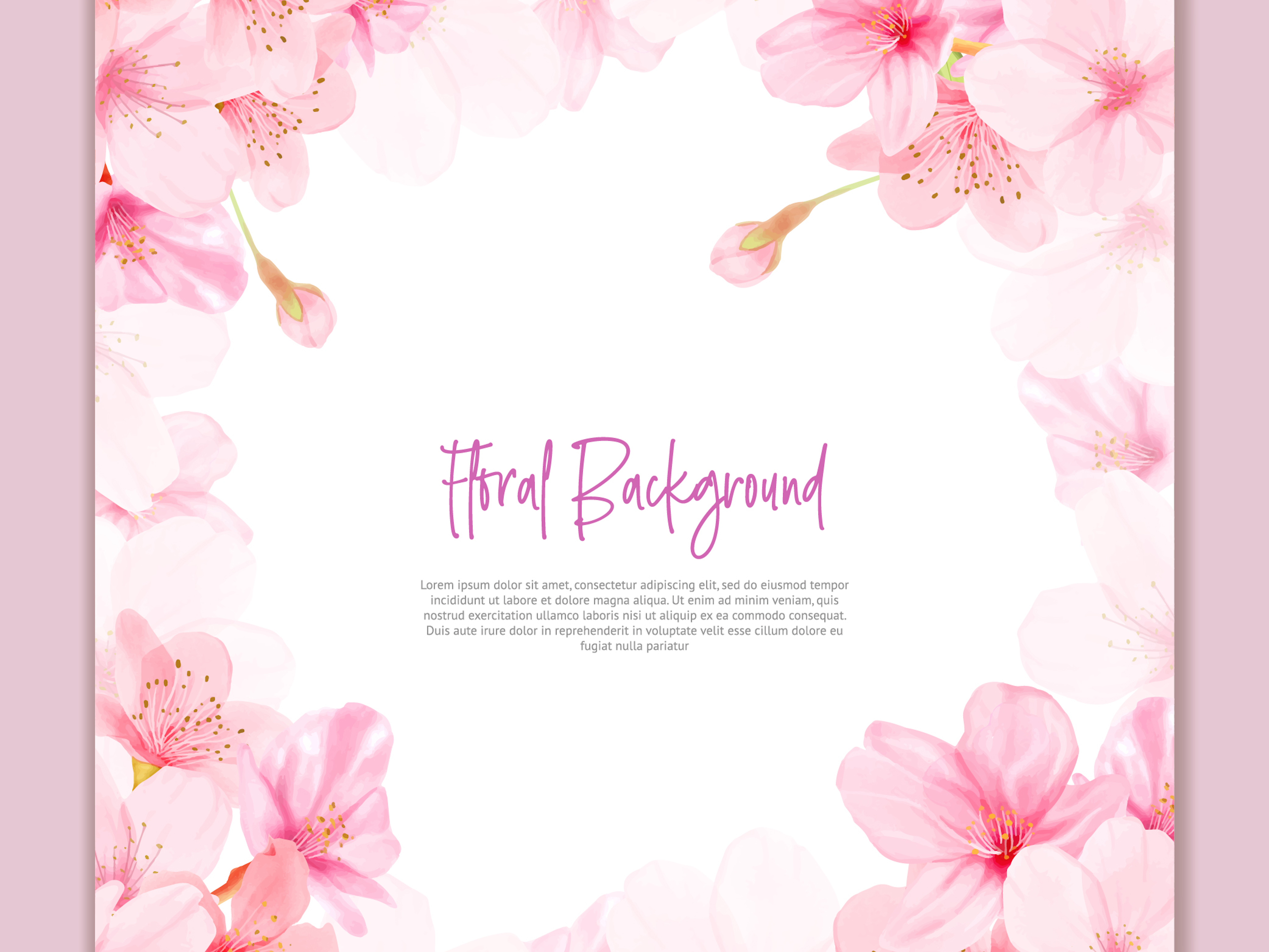 Beautiful Cherry Blossom Flowers Background By Volcebyyou Studio