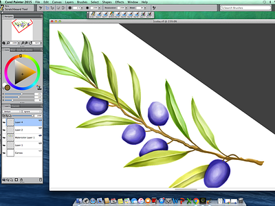 olive painting on COREL PAINTER 2015