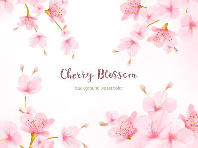 Watercolor Floral Cherry Blossom Frame Vector