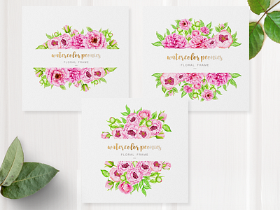 watercolor peony card frame set background blossom botanical decoration design floral flower illustration isolated leaf peony pink plant romantic set summer vintage watercolor wedding white