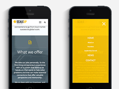 ScaleUp design financial mobile responsive ui ux website