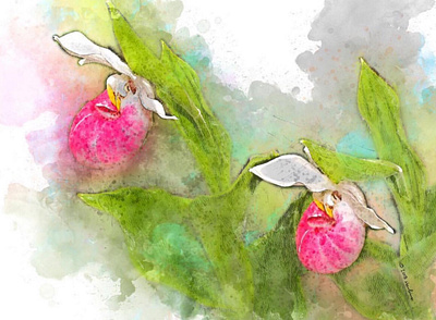 Orchids - Pair digital painting illustration photoshop