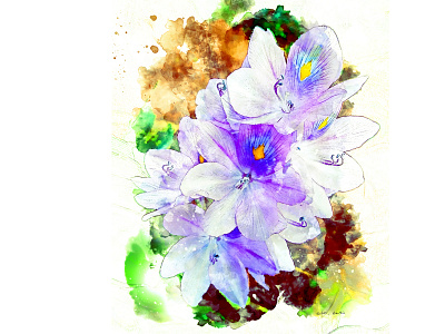 Water Hyacinth digital painting illustration photoshop